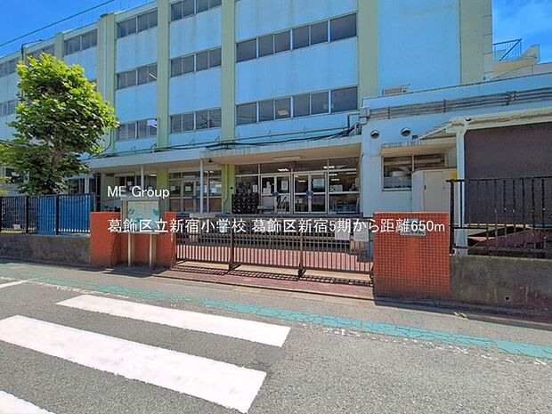 小学校 650m 葛飾区立新宿小学校