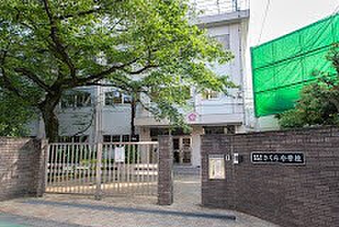 小学校 450m 豊島区立さくら小学校
