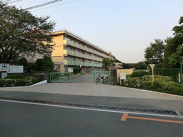 小学校 1700m 柏市立逆井小学校