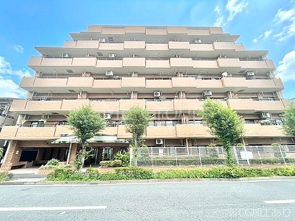 溢れる陽光でご家族の笑顔も輝く