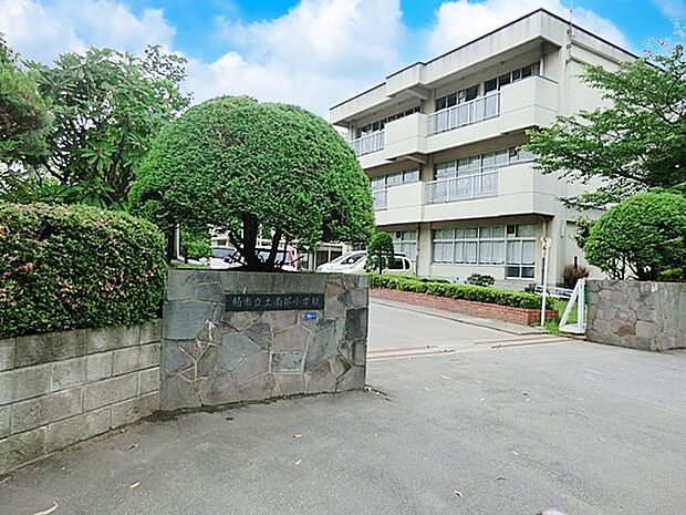 小学校 1500m 柏市立土南部小学校
