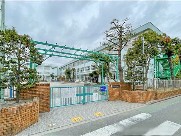 小学校 350m 江戸川区立鹿本小学校