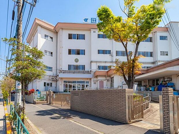 中学校 100m 江戸川区立鹿本中学校