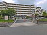 周辺：幼稚園・保育園 410m 小合保育園