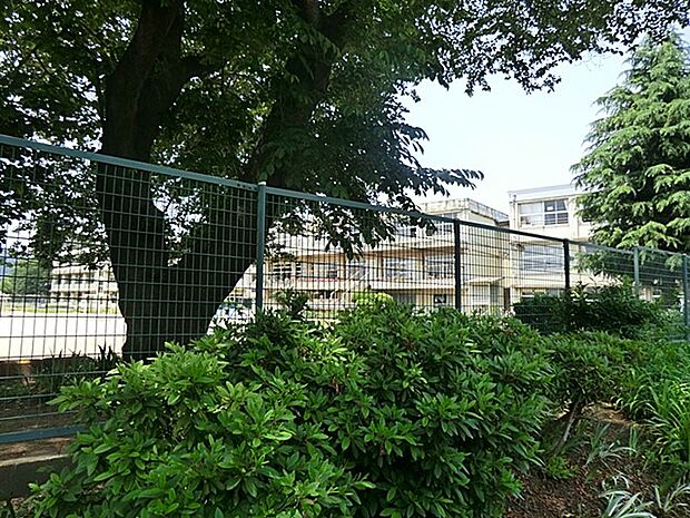 小学校 550m 松戸市立常盤平第二小学校