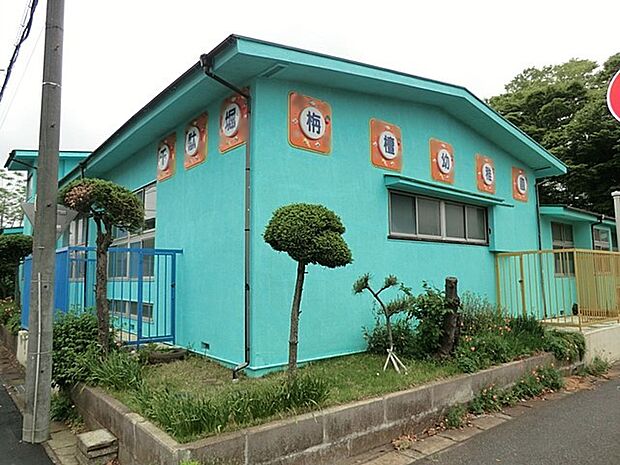 幼稚園・保育園 1000m 栴檀幼稚園