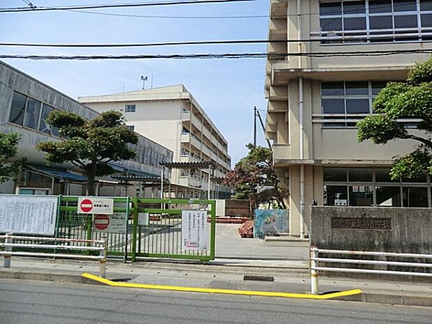 小学校 600m 松戸市立矢切小学校