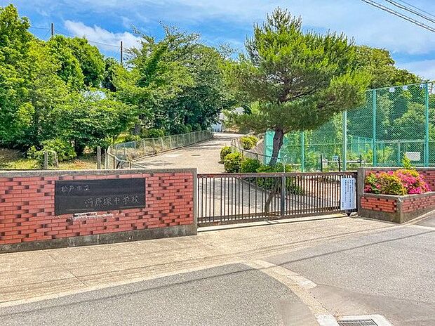 中学校 969m 松戸市立河原塚中学校