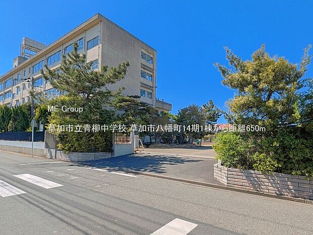 中学校 650m 草加市立青柳中学校