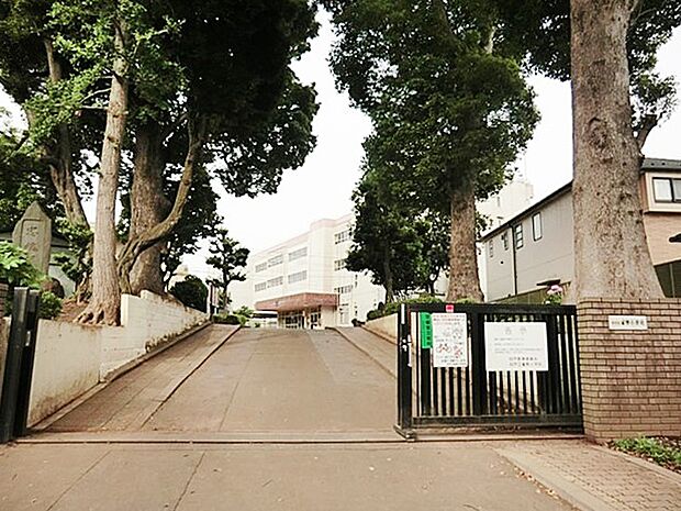 小学校 300m 柏市立富勢小学校