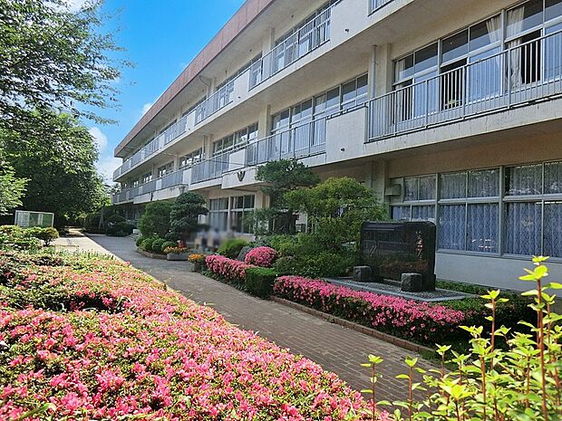 中学校 1230m 野田市立第二中学校