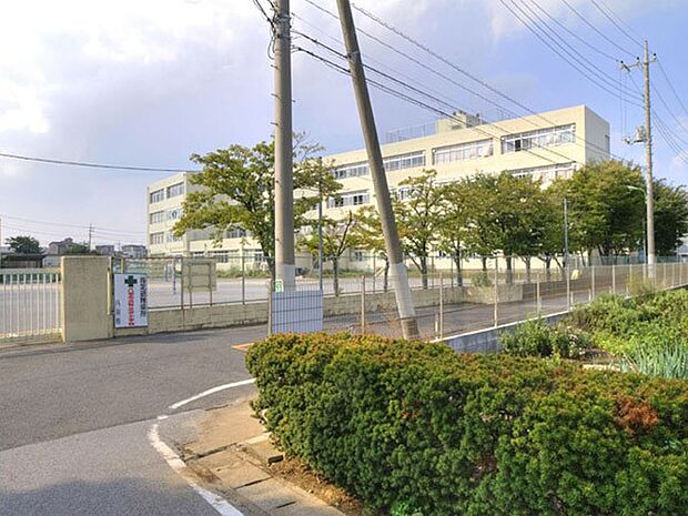 小学校 350m 八潮市立松之木小学校