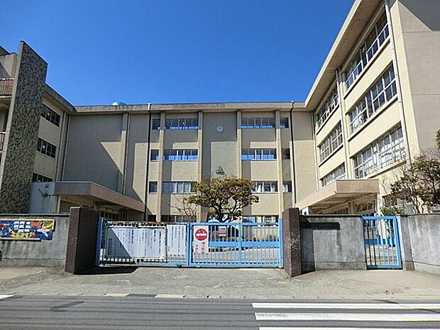 小学校 450m 松戸市立古ケ崎小学校