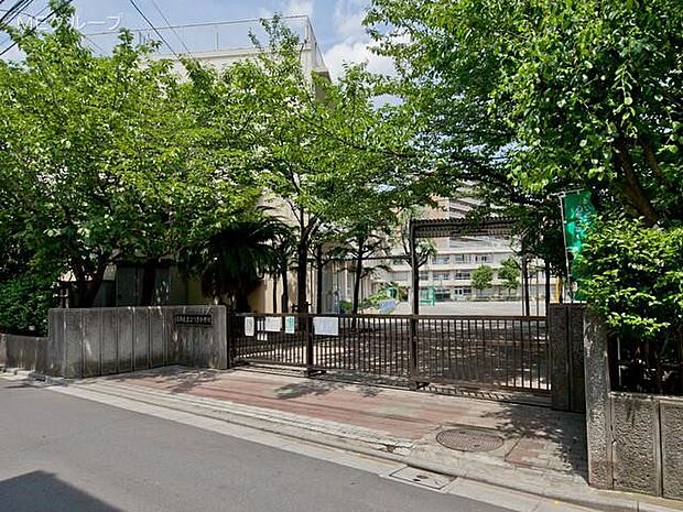 小学校 550m 葛飾区立よつぎ小学校