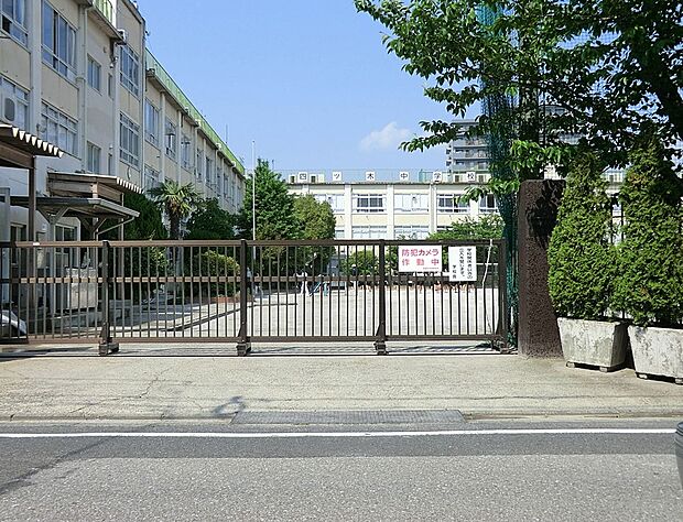 中学校 850m 葛飾区立 四ツ木中学校