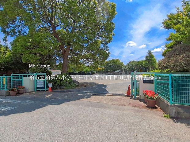 小学校 380m 柏市立柏第八小学校