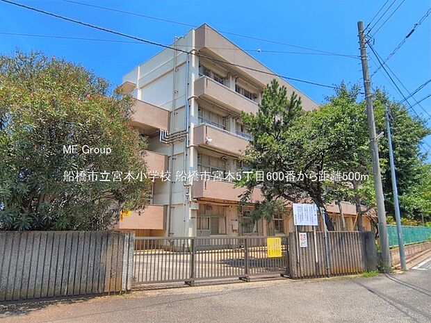 小学校 500m 船橋市立宮本小学校