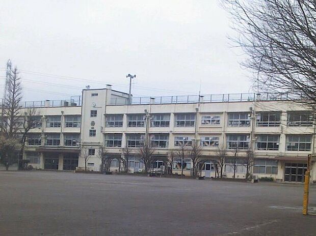 小学校 1200m 練馬区立大泉第三小学校