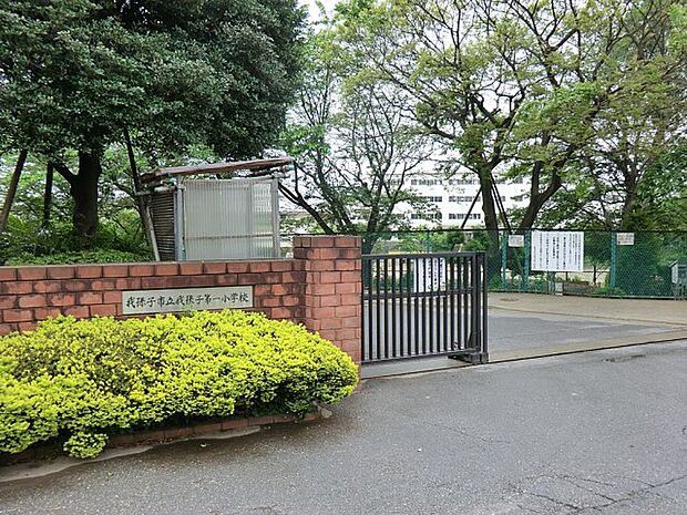 小学校 640m 我孫子市立我孫子第一小学校