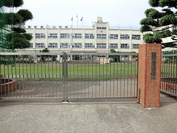 小学校 500m 足立区立梅島第一小学校
