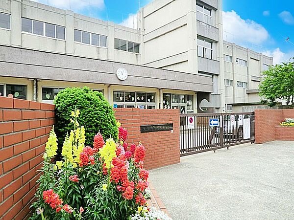 小学校 340m 松戸市立松飛台第二小学校
