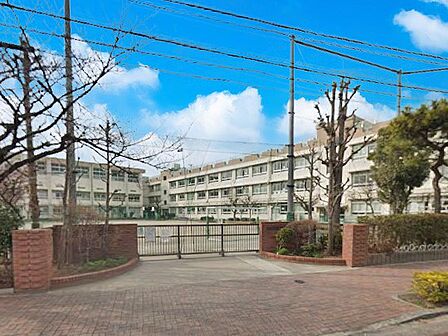 小学校 700m 葛飾区立奥戸小学校