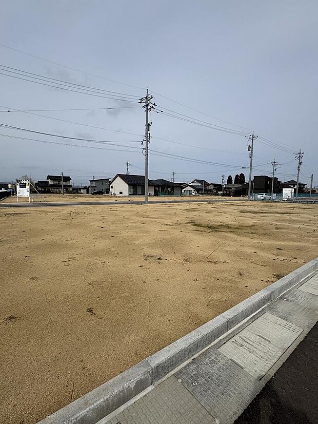 現地写真(2026年3月2日撮影)