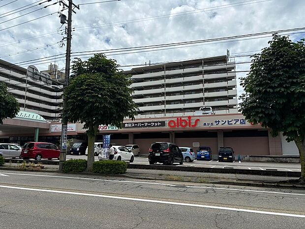 アルビス泉が丘サンピア店まで約1200ｍ（車で約3分）