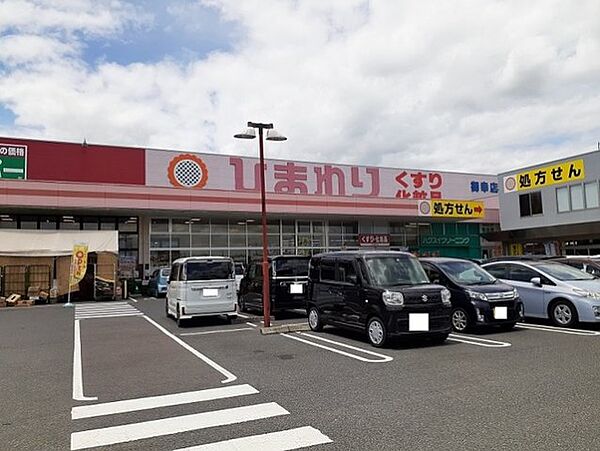 画像17:ひまわり御幸店まで1100m