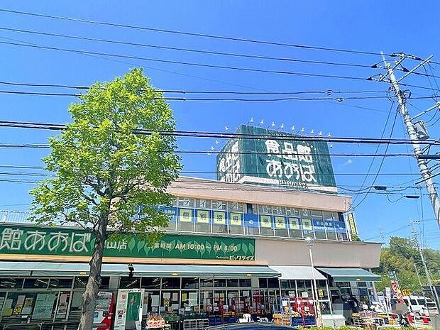 食品館あおば初山店 徒歩14分。 1110m