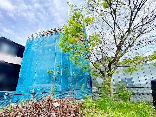 販売現地