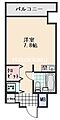 朝日プラザアムネット天満町3階3.8万円