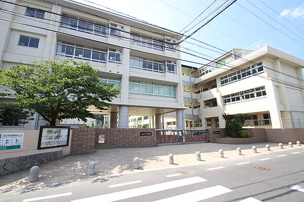画像19:小学校「広島市立緑井小学校まで347ｍ」