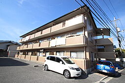 ハイム波多野II