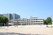 小学校「広島市立天満小学校まで391ｍ」
