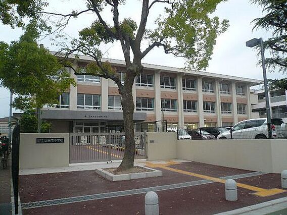 シャルムK_周辺_3