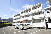 新原第1マンション 2階 築53年10ヶ月の賃貸物件