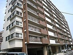 スターアーク古江東