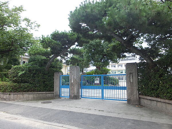 画像6:小学校「広島市立大芝小学校まで504ｍ」