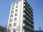 エソール龍本 8階 築29年11ヶ月の賃貸物件