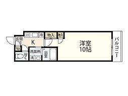 GRACE BAY CITY 1階1Kの間取り