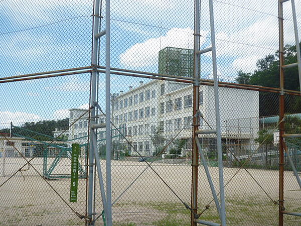 画像22:小学校「広島市立早稲田小学校まで1230ｍ」