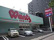 ドラックストア「ウォンツ白島店まで845ｍ」