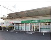ドラックストア「ザグザグ光南店まで491ｍ」