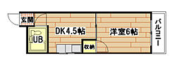 コーポナウ6 1Kの間取図画像