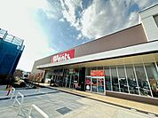 ドラックストア「ウォンツフジ古市店まで647ｍ」