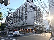 チサンマンション広島 11階 築51年4ヶ月の賃貸物件