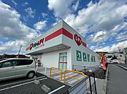 ドラックストア「くすりのレデイ広島西条店まで1085ｍ」