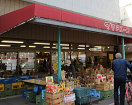 広島県広島市西区東観音町（賃貸マンション1K・4階・20.72㎡） その16