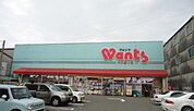 ドラックストア「ウォンツ中広通り店まで504ｍ」